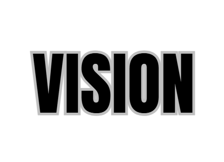 VISION